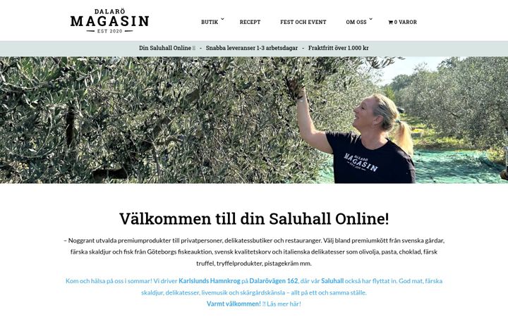 Skjámynd af dalaromagasin.se