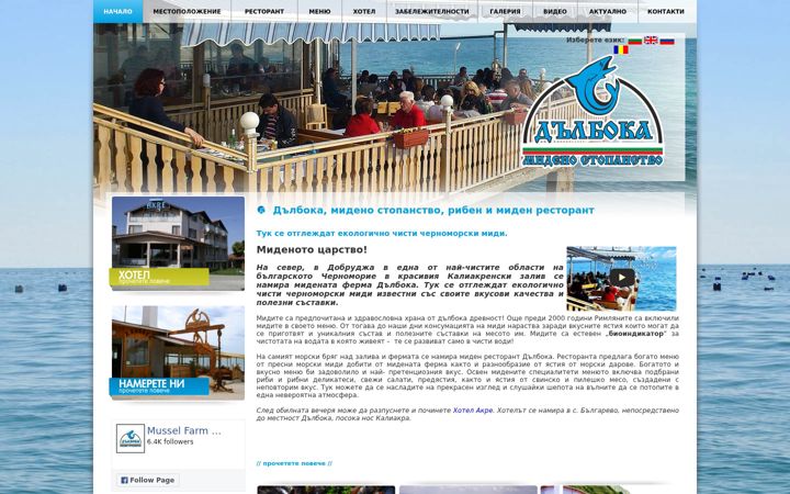 Screenshot of dalboka.eu
