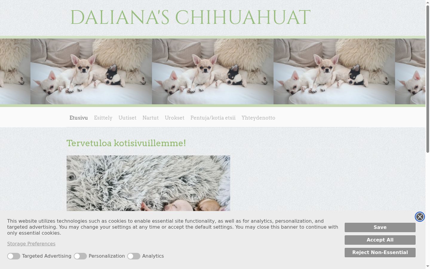 Screenshot tal-banner tal-kunsens muri qabel kwalunkwe interazzjoni