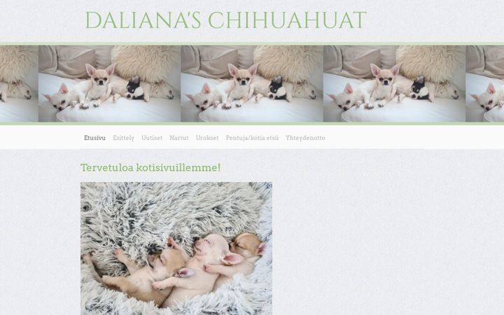Screenshot of dalianas.com