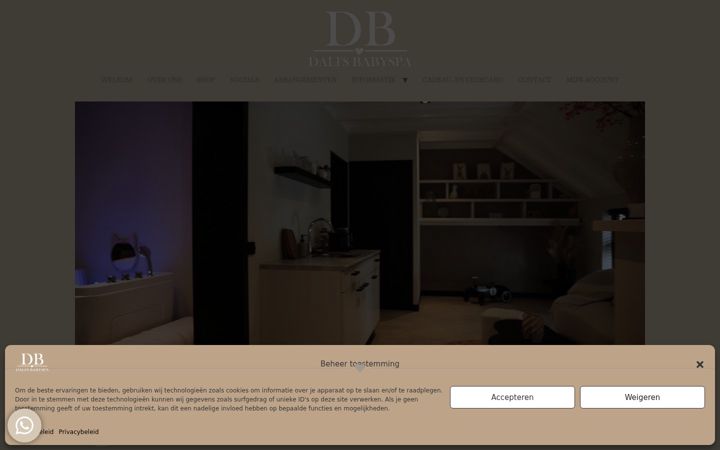 Skjermbilde av dalispa.nl