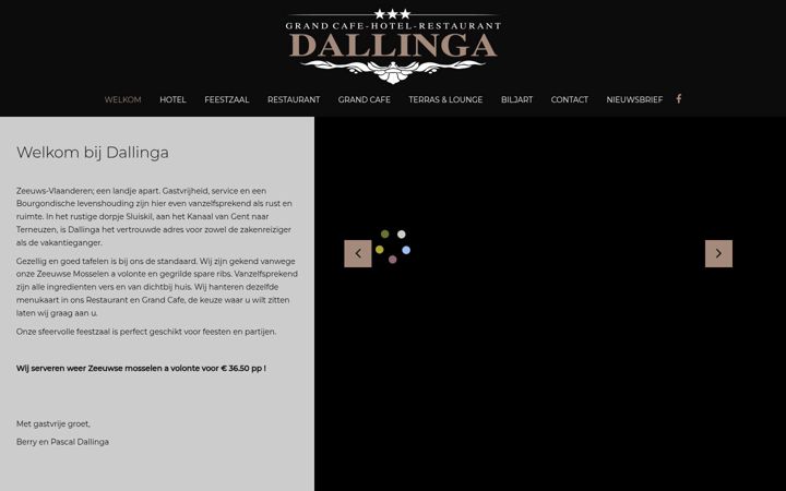 Screenshot of dallinga.com