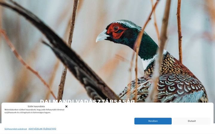 Screenshot of dalmandivadasztarsasag.hu