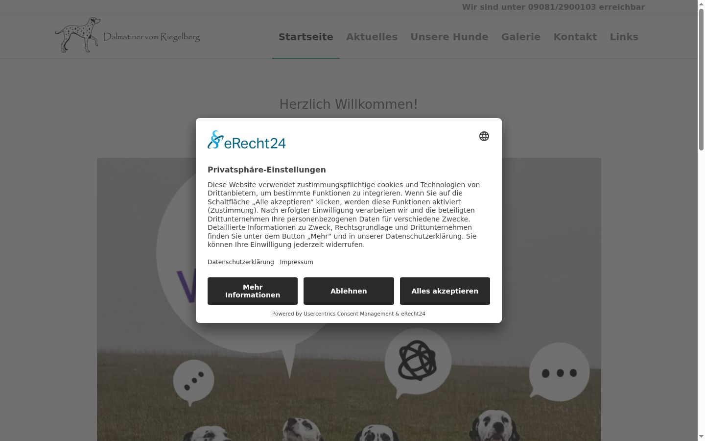 Captura de pantalla del banner de consentimiento mostrado antes de cualquier interacción