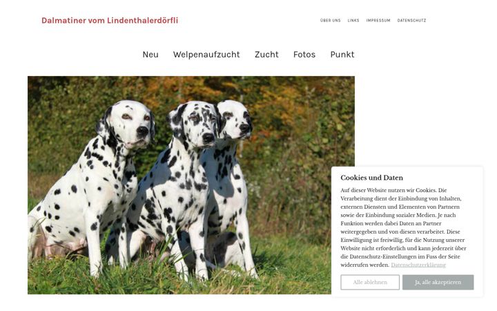 Screenshot of dalmis.ch