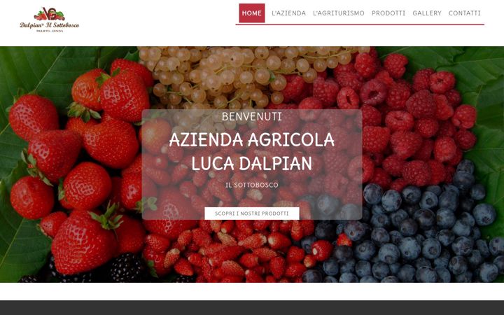 Screenshot of dalpian.it