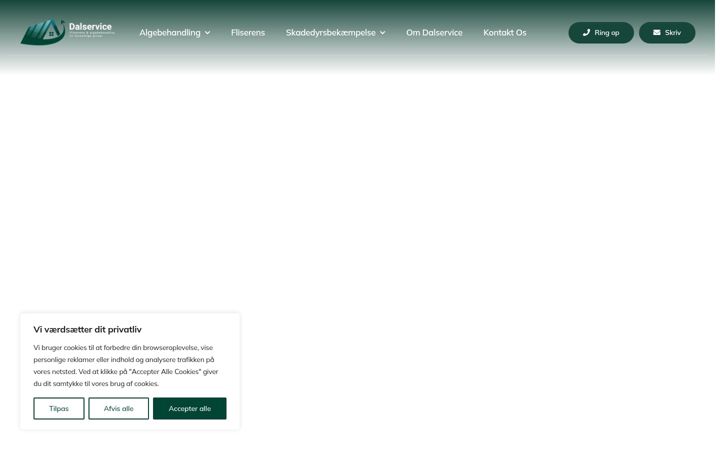 Screenshot of dalservice.dk