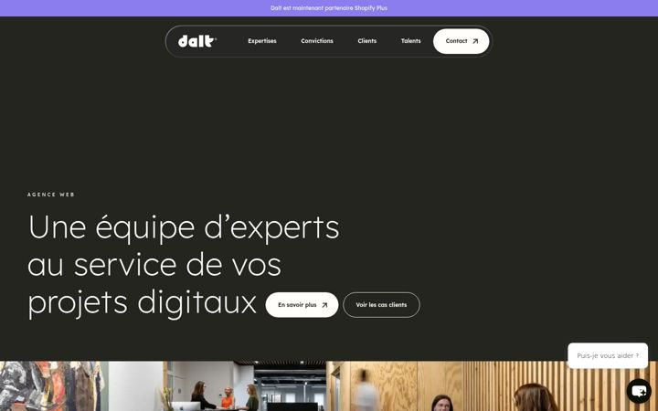 Ekraanipilt saidist dalt.fr