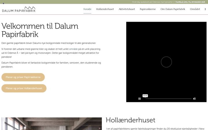 Screenshot of dalumpapirfabrik.dk