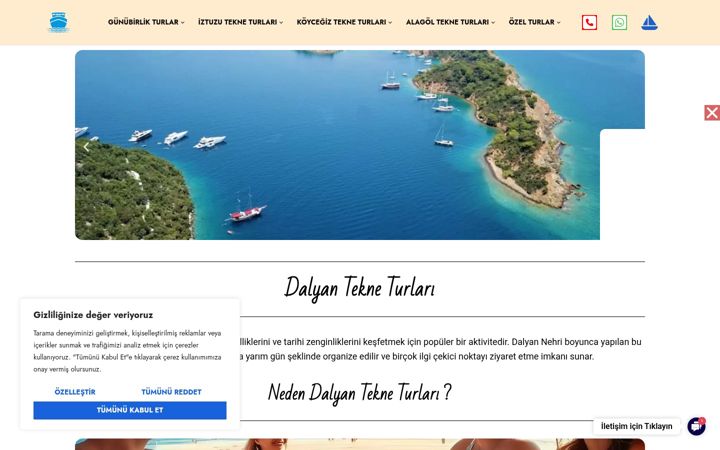 Screenshot of dalyantekneturlari.com