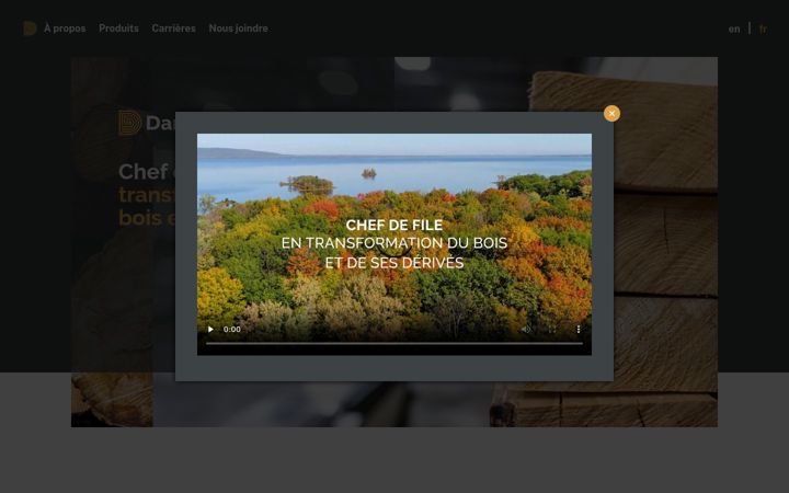 Screenshot ta' damabois.com