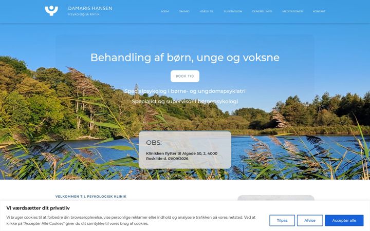 Screenshot of damarishansen.com
