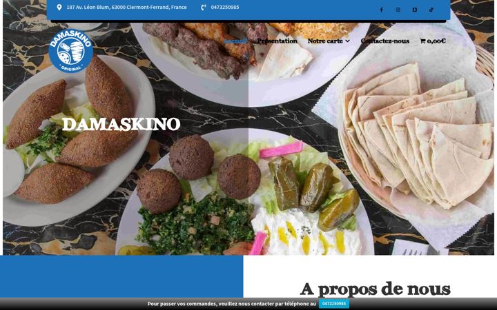 Ekraanipilt saidist damaskino.fr