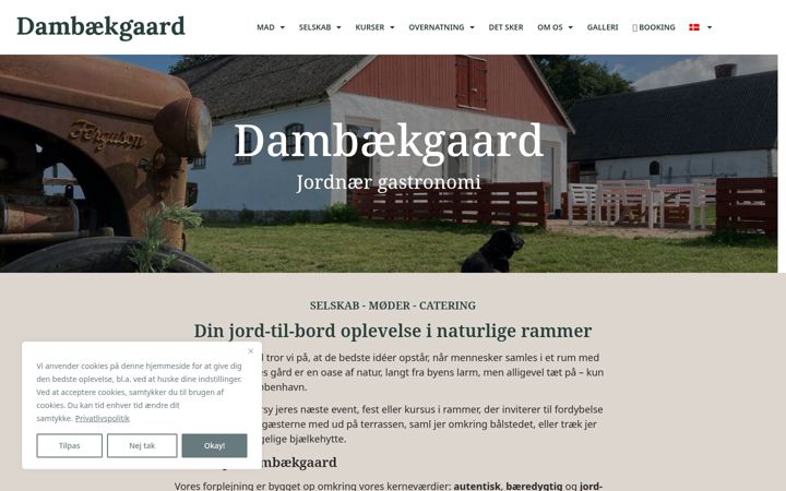 Screenshot of dambaekgaard.net