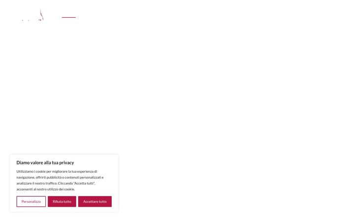 Screenshot of damdanzatorino.it