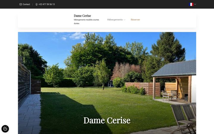 Screenshot of damecerise.be