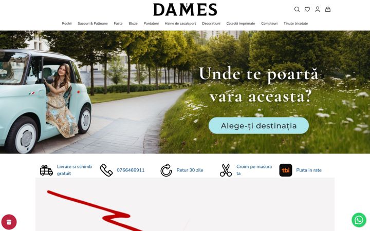 Capture d'écran de dames.ro