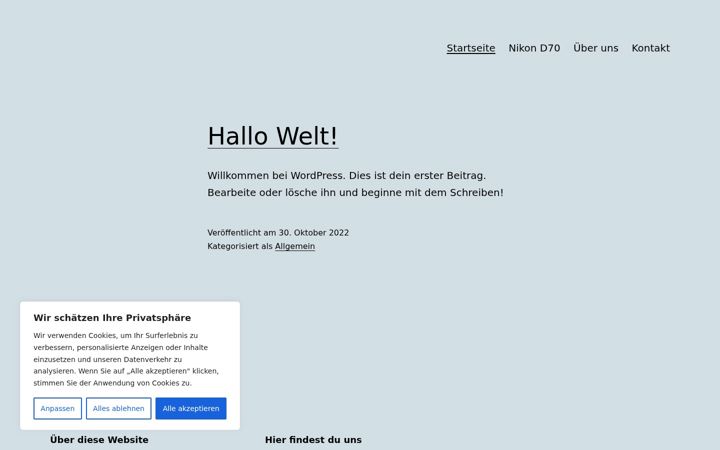 Screenshot of damian-malik.de