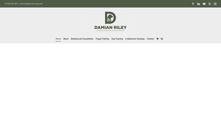 Screenshot of damianriley.com