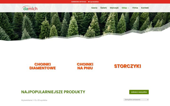 Screenshot του damich.pl