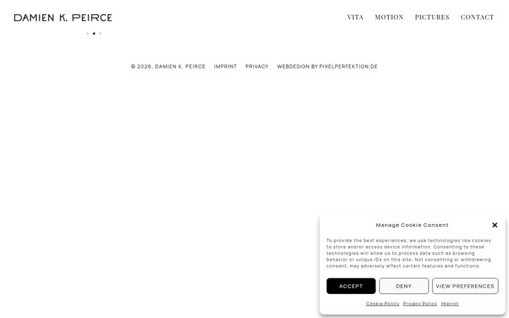 Screenshot of damien-peirce.com