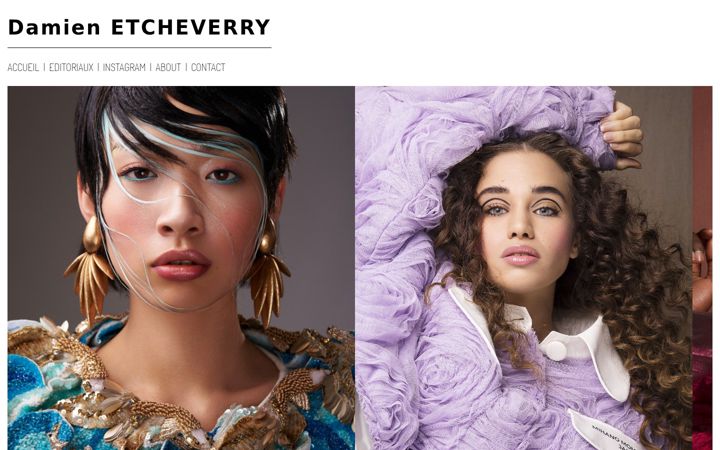 Screenshot of damienetcheverry.com