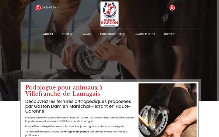 Zrzut ekranu damiengastonmarechalferrant.fr