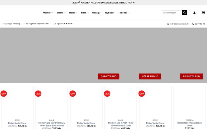 Screenshot of damkjaersko.dk