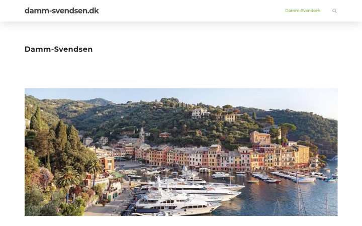 Screenshot of damm-svendsen.dk