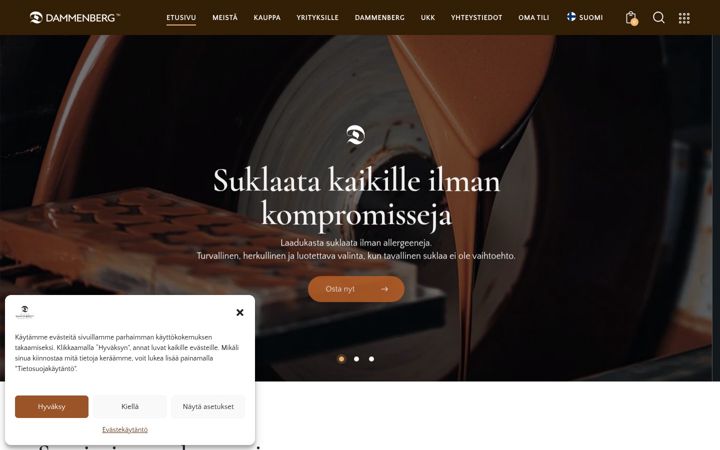 Screenshot di dammenberg.fi