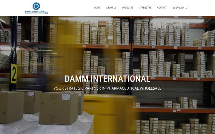 Screenshot of damminternational.com