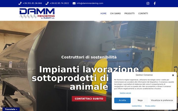 Screenshot of dammrendering.com
