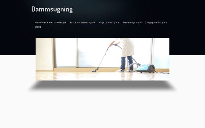 Screenshot of dammsugning.net