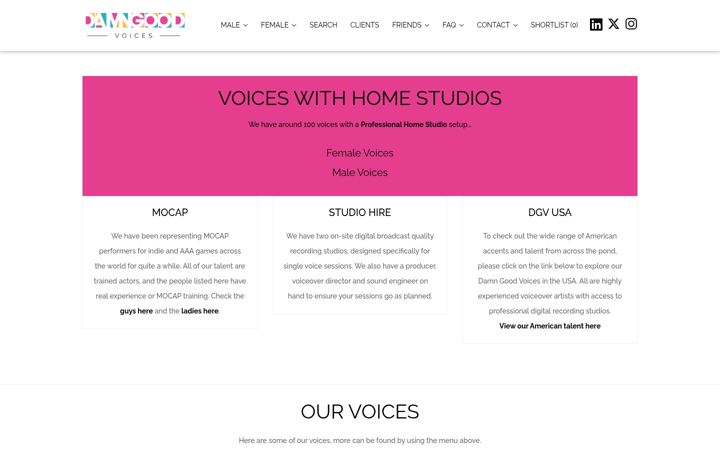 Screenshot of damngoodvoices.com