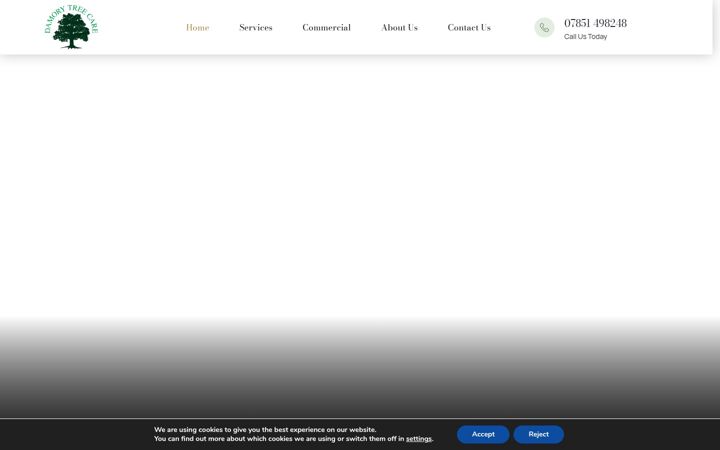 Screenshot of damorytreecare.com