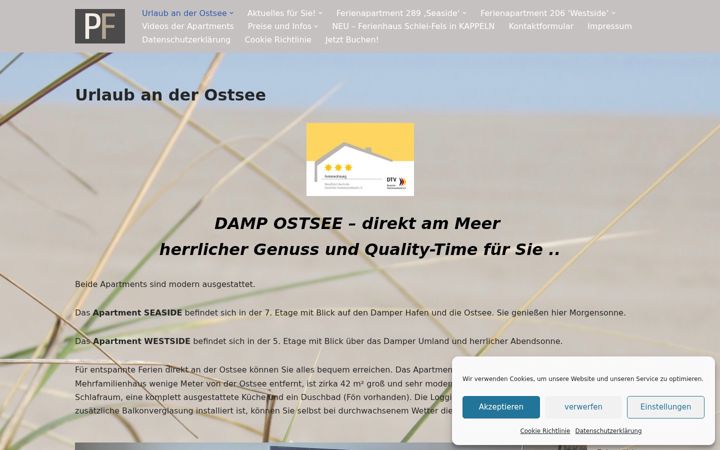 Screenshot of damp-felsberg.de