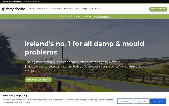 Screenshot di dampdoctor.ie