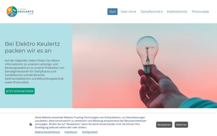 Screenshot of dampftechnik-keulertz.de