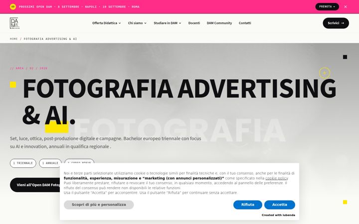 Screenshot of damphotography.it