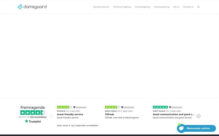 Screenshot of damsgaard.dk