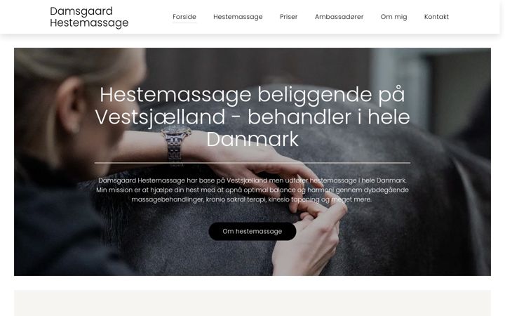 damsgaardhestemassage.dk
