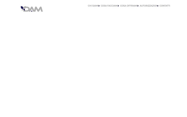Screenshot of damsrl.it