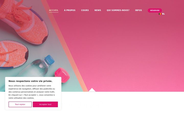 Screenshot of dan-za.be