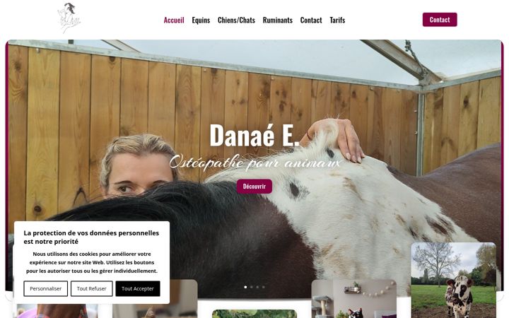 Zrzut ekranu danae-osteopathe.fr