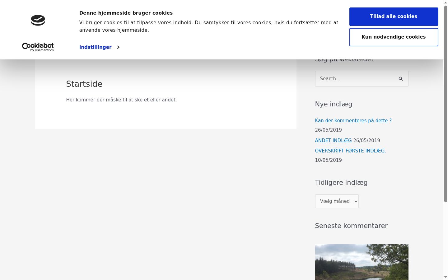 Skärmbild av samtyckesbannern som visades före någon interaktion