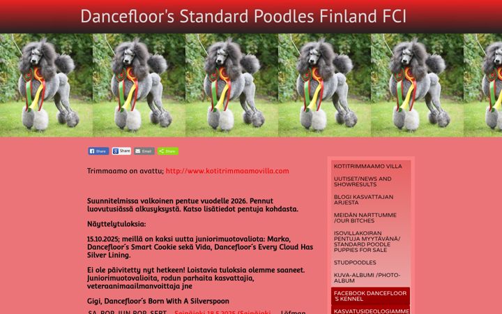 Screenshot of dancefloorspoodle.com