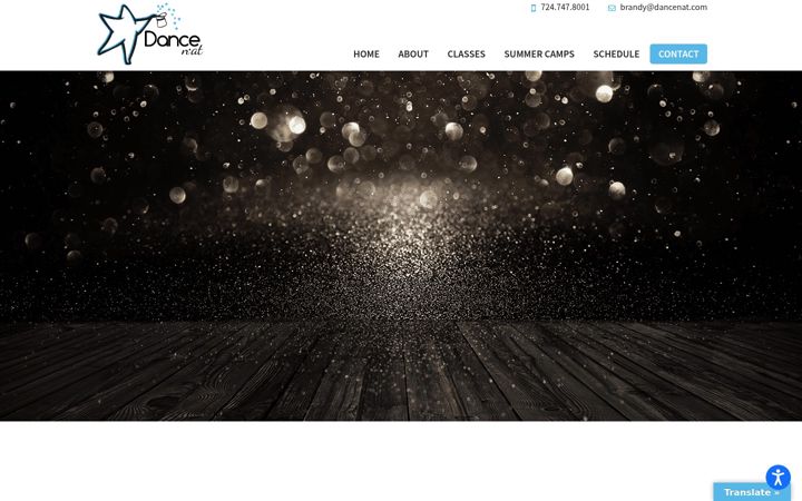 Screenshot of dancenat.com