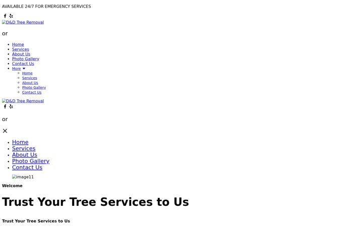 Screenshot of danddtreeremoval.com
