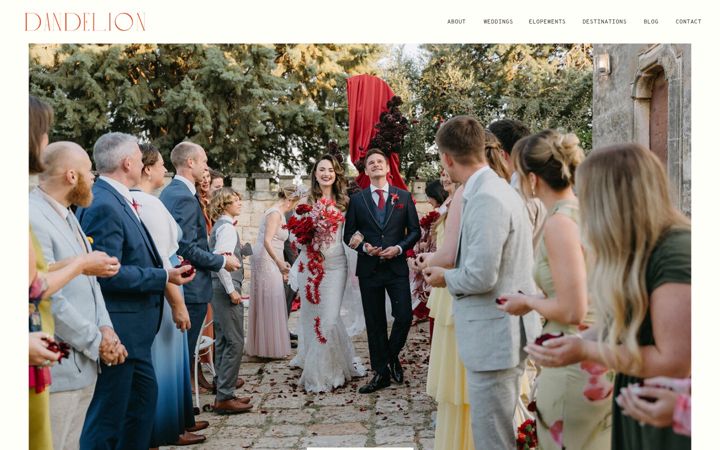 Screenshot of dandelioncelebrations.com