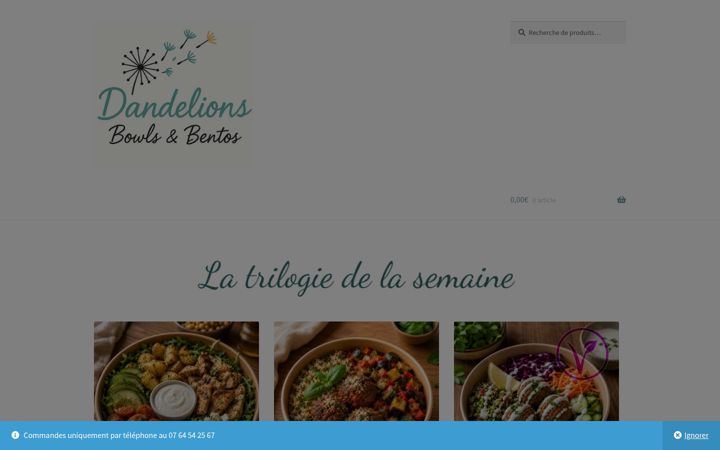 Skjermbilde av dandelions.fr